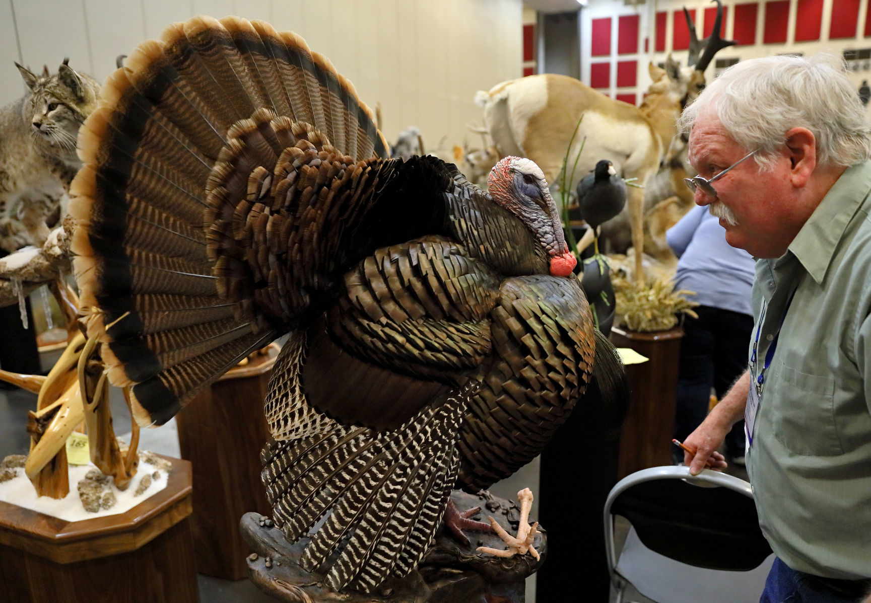 2019 World Taxidermy & Fish Carving Championships in Springfield, Mo.